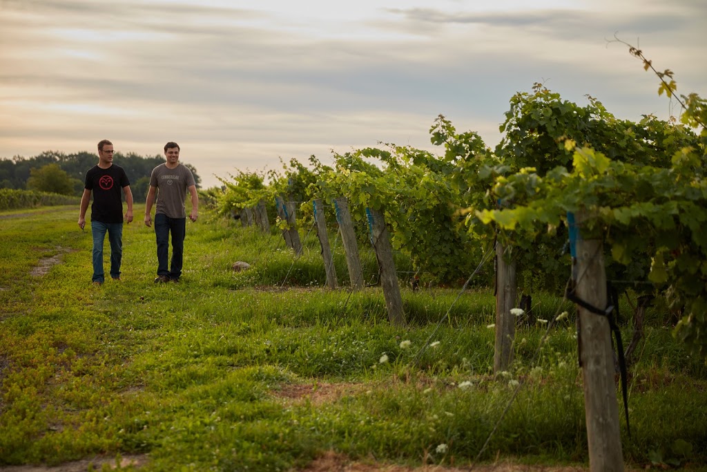 Between The Lines Winery | 991 Four Mile Creek Rd, Niagara-on-the-Lake, ON L0S 1J0, Canada | Phone: (905) 262-0289
