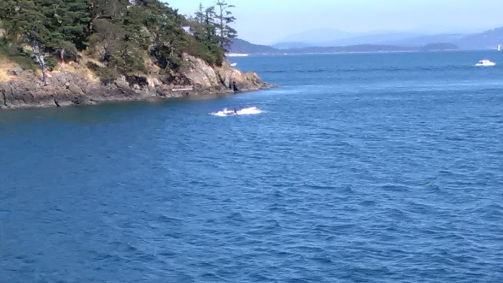 Cone Islands State Park | Anacortes, WA 98221, USA