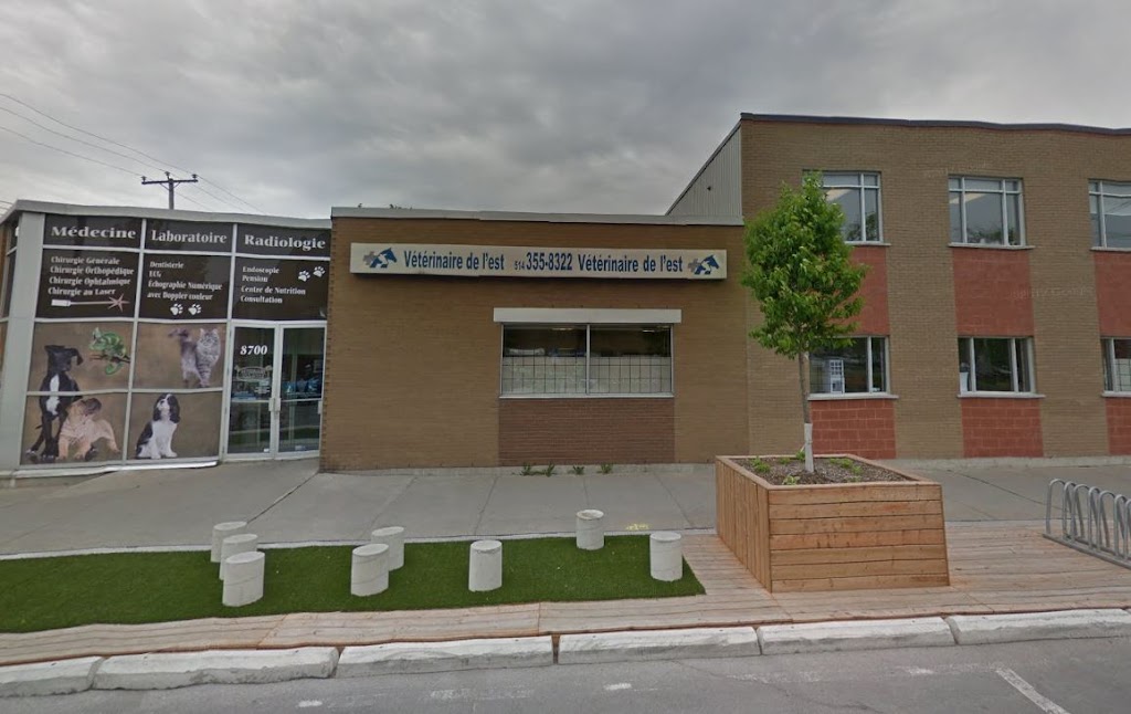 Hôpital Vétérinaire de L’Est | 8700 Av. Chaumont, Anjou, QC H1K 1N6, Canada | Phone: (514) 355-8322