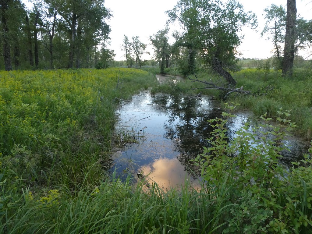 Fish Creek Provincial Park | Calgary, AB, Canada | Phone: (403) 297-5293
