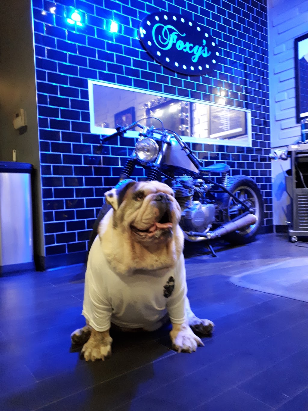 Foxys Gentlemens Hair Studio | 559 Essa Rd, Barrie, ON L4N 6A9, Canada | Phone: (705) 300-0221