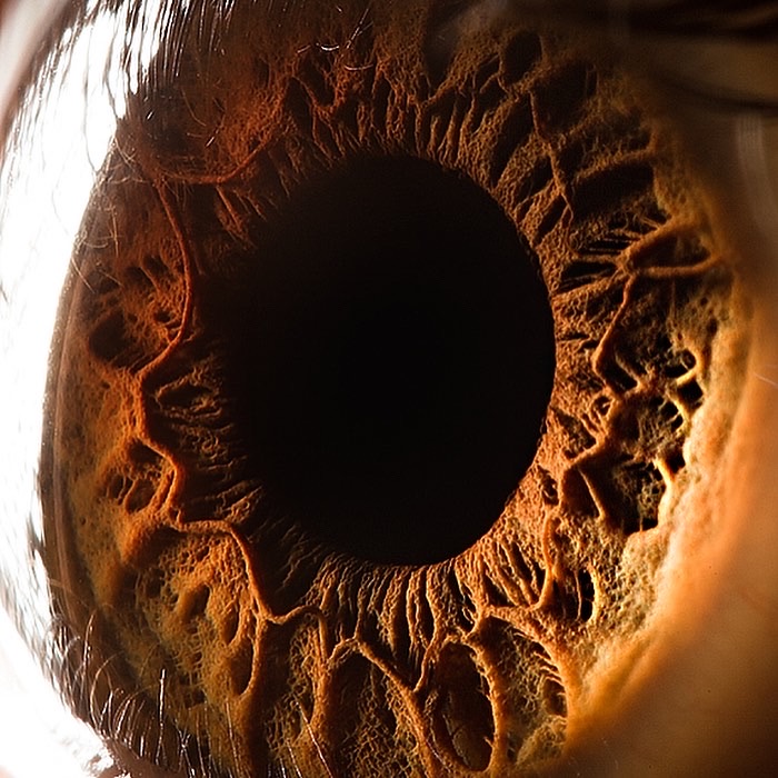 Kniaziew Optometry | 197 Hill St Unit A, Corunna, ON N0N 1G0, Canada | Phone: (519) 813-9851