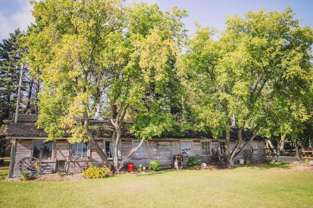 Andersons Hitch n Post Ranch | 2079 Ridge Road, Grosse Isle, MB R0C 1G0, Canada | Phone: (204) 467-2544