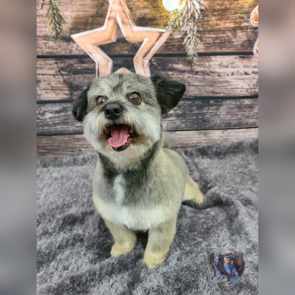 Squeaky Clean K-9s ~ Certified Dog Groomer | 117 Centre St S Bay 3, Sundre, AB T0M 1X0, Canada | Phone: (780) 898-1353