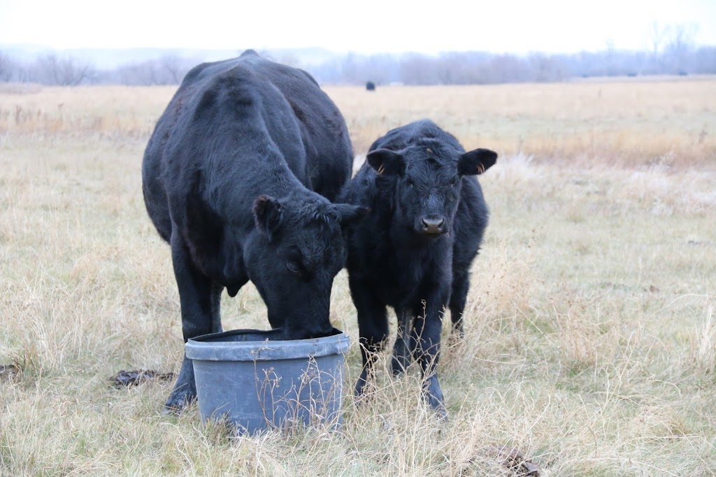 OLS Tubs | se6-41-23-w2, Middle Lake, SK S0K 2X0, Canada | Phone: (306) 231-7567