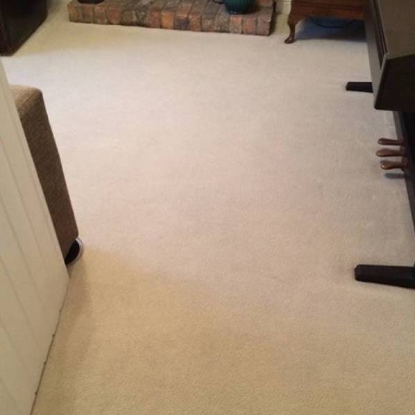 Pacific Union Carpet Cleaning | 515-2818 Main St, Vancouver, BC V5T 0C1, Canada | Phone: (604) 343-2791
