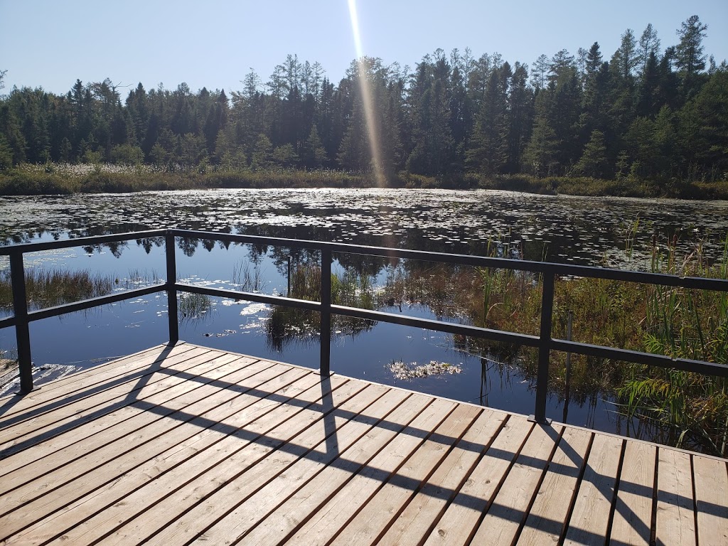 Sifton Bog | 1210 Oxford St W, London, ON N6H 4N2, Canada | Phone: (519) 661-4500