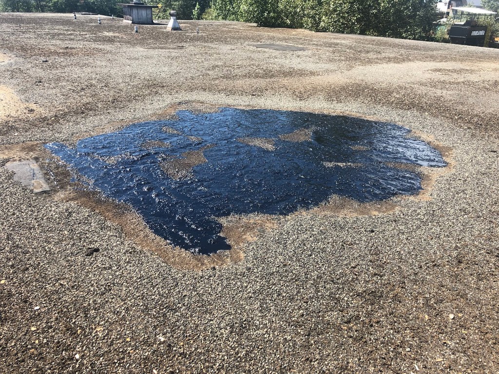 Kinvig Roof Coatings | 7876 Allman St, Burnaby, BC V5E 2B1, Canada | Phone: (604) 209-3507