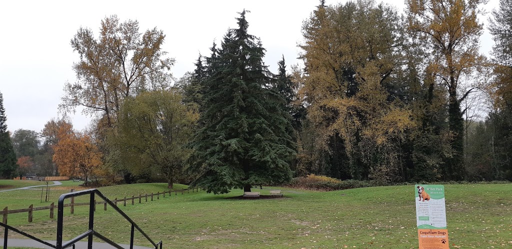 Miller Park Off-Leash Area | 871 Oakview St, Coquitlam, BC V3J 4T6, Canada