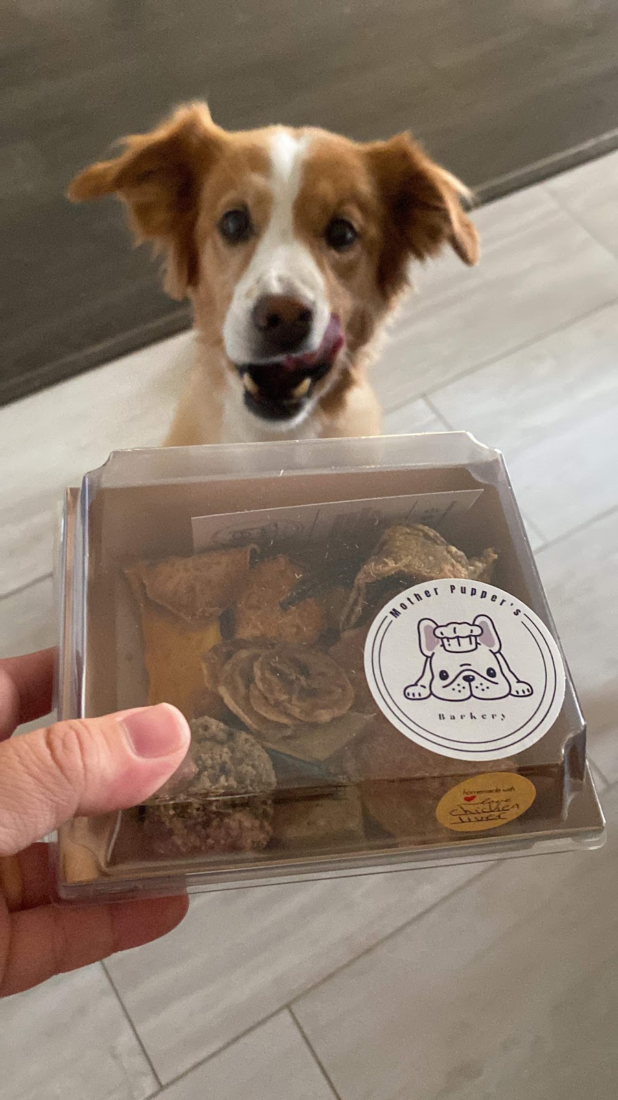 Mother Puppers Barkery | NOT A STOREFORNT, 575 Proudfoot Ln, London, ON N6G 4Z4, Canada | Phone: (226) 346-3790
