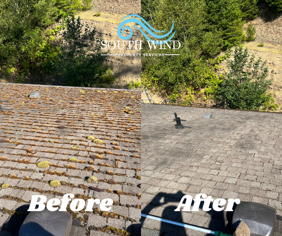 South Wind Property Services | 2010 Wilmot Rd, Cowichan Bay, BC V0R 1N1, Canada | Phone: (778) 422-2406