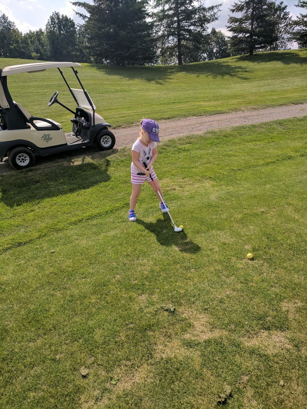 Ariss Valley Golf and Country Club | 5700 Wellington Rd 86, Ariss, ON N0B 1B0, Canada | Phone: (519) 824-1551