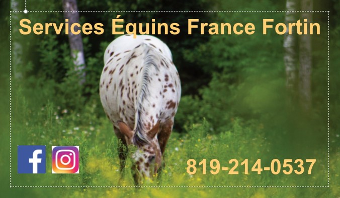 Services équins France Fortin | 162 Rang de la Rivière Chaudière, Lac-Drolet, QC G0Y 1C0, Canada | Phone: (819) 214-0537