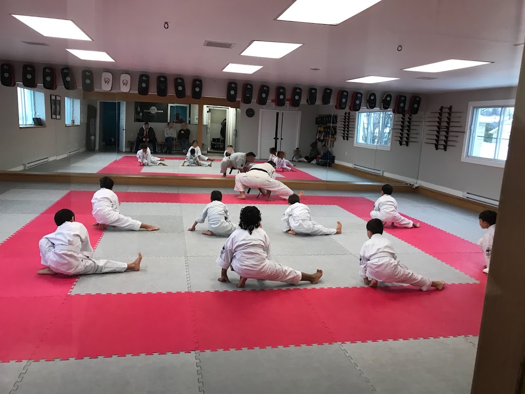 Kanreikai Karate Montréal | 4830 Bd Saint-Charles, Pierrefonds, QC H9H 3E1, Canada | Phone: (514) 834-8458