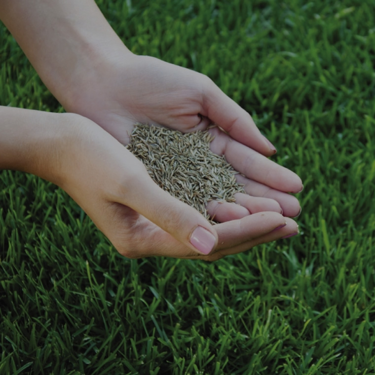 Leuschners Lawn and Landscape | 341 Durham Regional Hwy 47, Goodwood, ON L0C 1A0, Canada | Phone: (905) 709-2221
