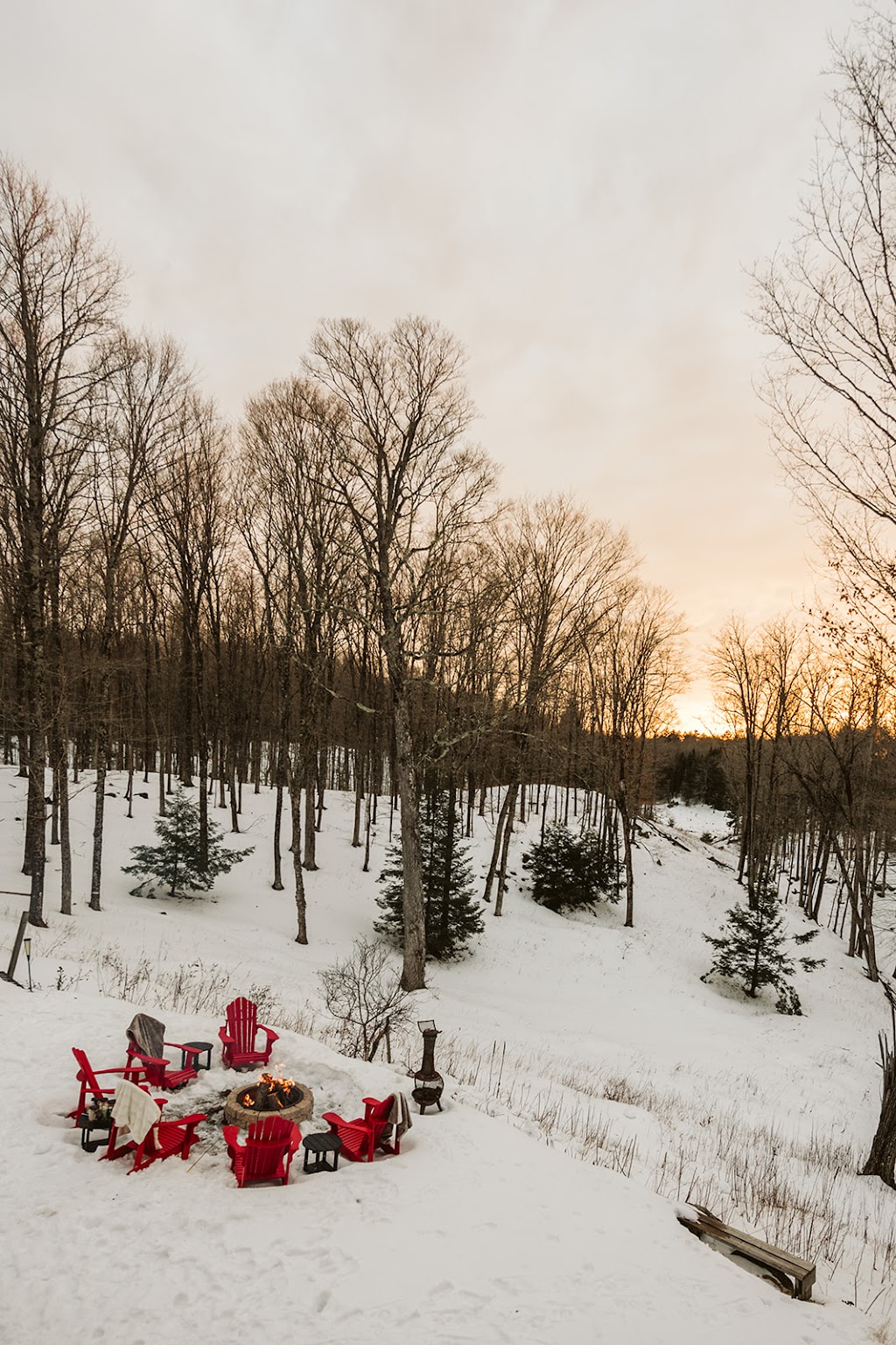 Hemlock Treehouse | 4107 County Rd 507, Gooderham, ON K0M 1R0, Canada | Phone: (289) 795-7700