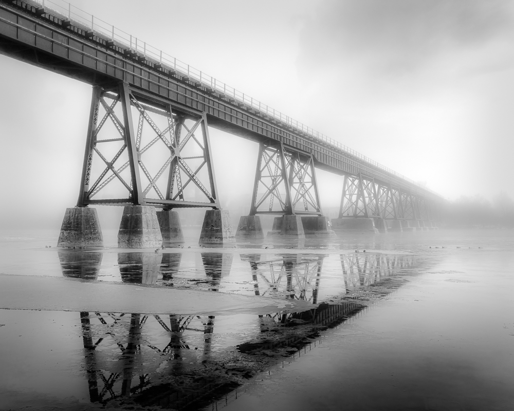 Sandra Lee Randle Photography | 159 Rosebush Rd, Stirling, ON K0K 3E0, Canada | Phone: (905) 472-5812