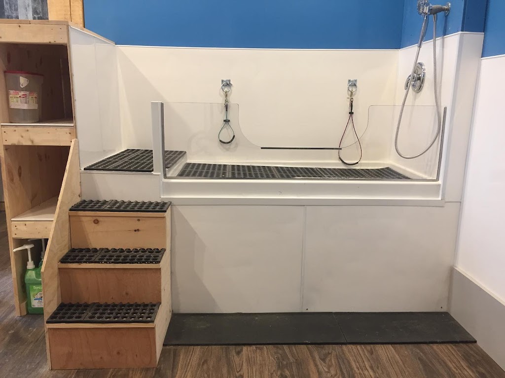 MAJOR Dog Grooming | 215 Lisgar St, Brighton, ON K0K 1H0, Canada | Phone: (613) 475-1599