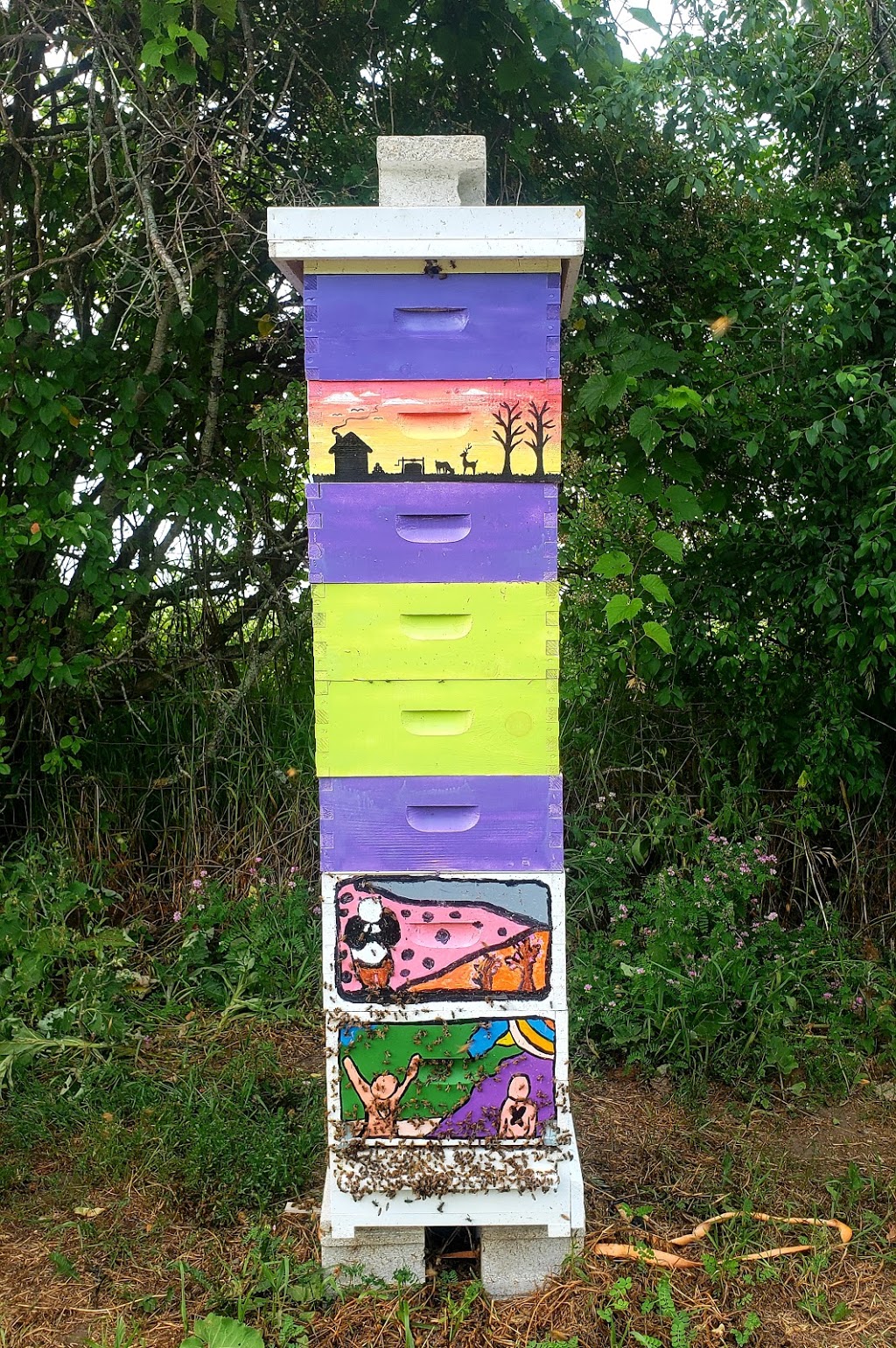 Bee Good Honey Co. | 849 Lakeport Rd, Colborne, ON K0K 1S0, Canada | Phone: (647) 535-5456