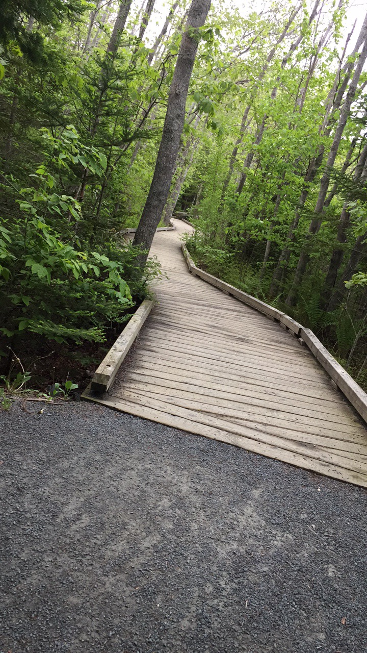 Sackville Lakes Provincial Park | 440 First Lake Dr, Lower Sackville, NS B4C 3L2, Canada | Phone: (888) 773-8888