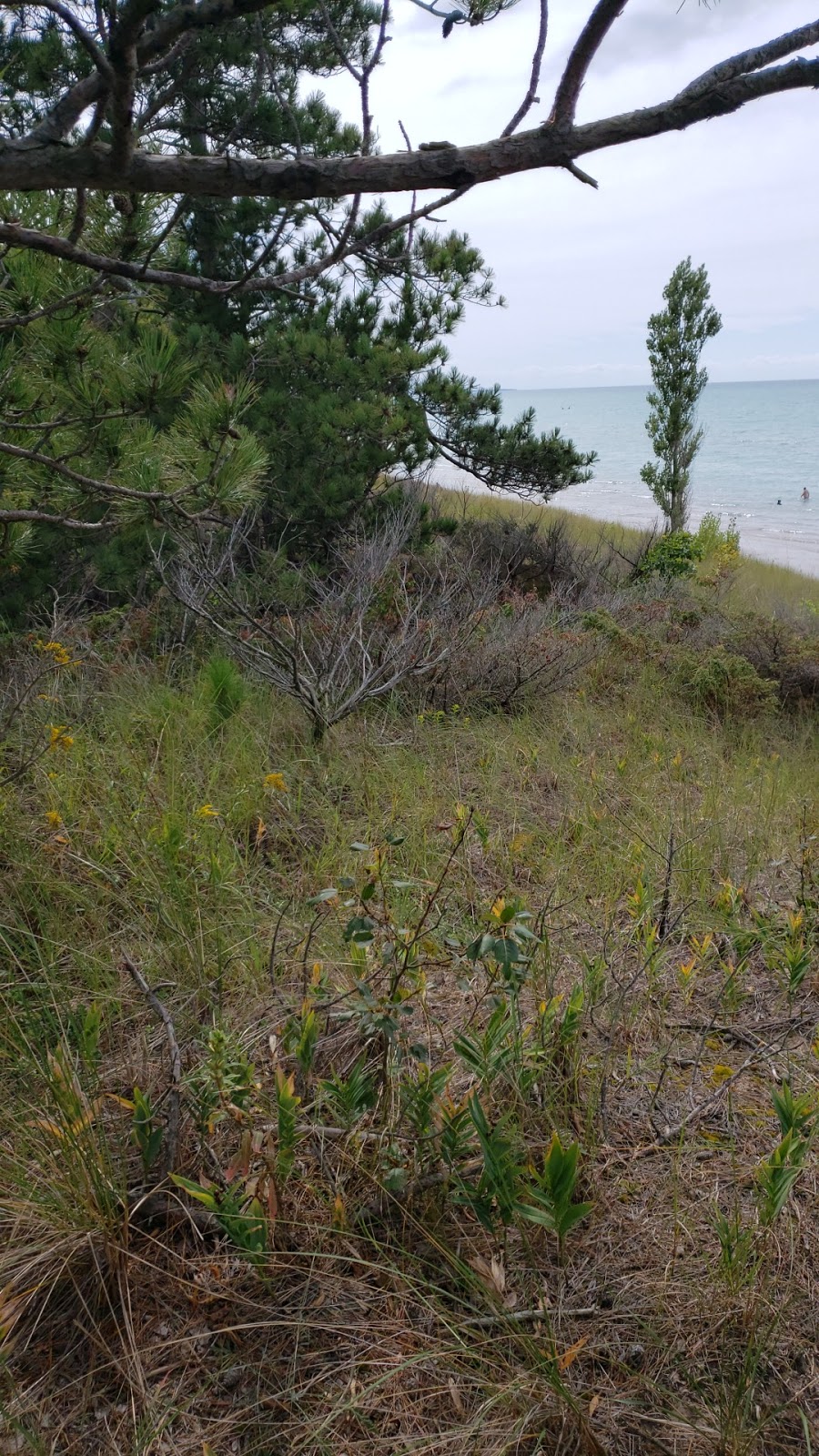 Wilderness Trail | 26 Sideroad, Grand Bend, ON N0M 1T0, Canada