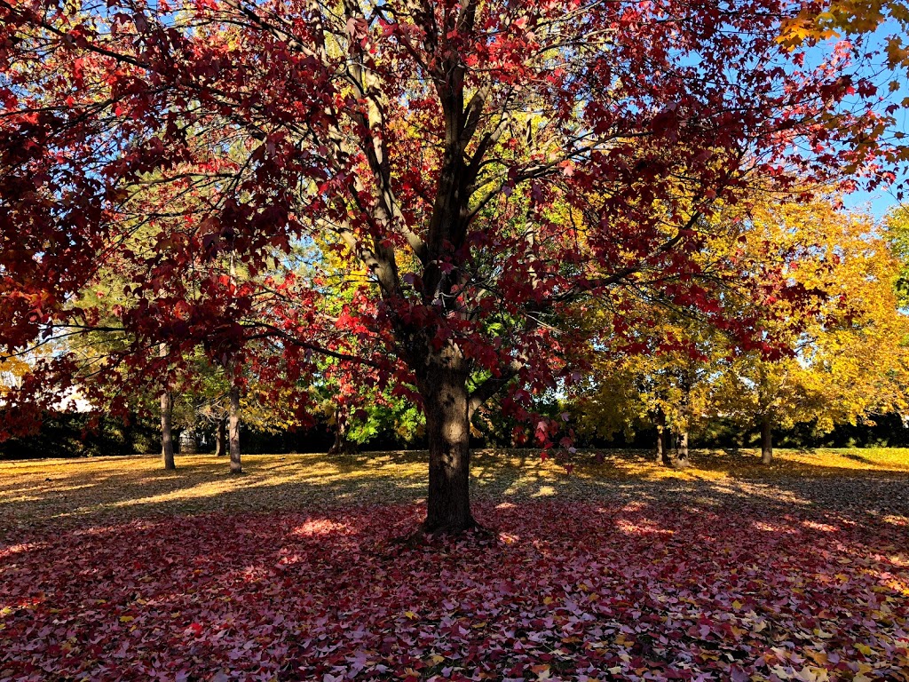 Red Pine Park | 11 Redpine Dr, Nepean, ON K2E 6T3, Canada | Phone: (613) 580-2595