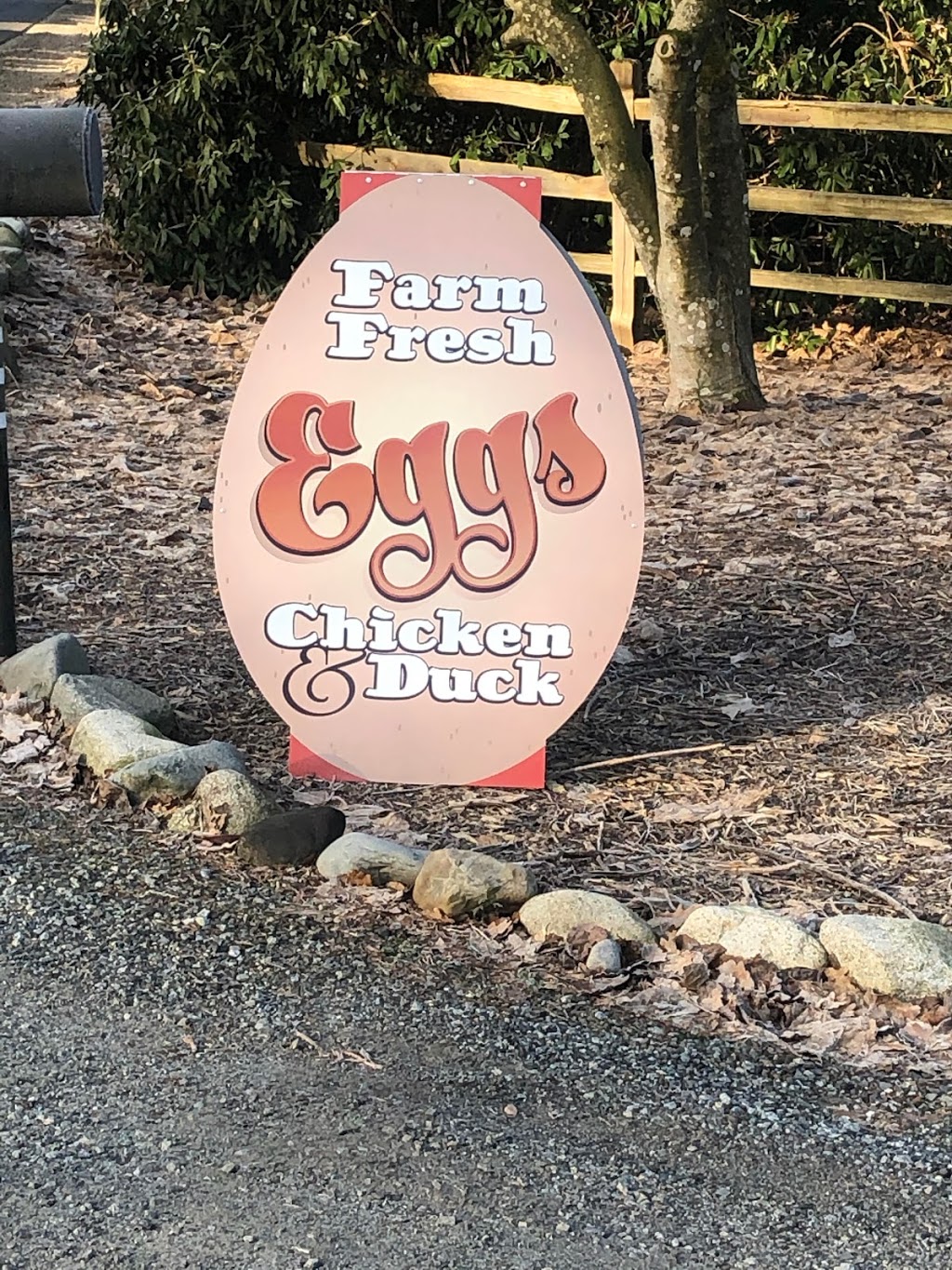 Deep Roots Family Farm | 22673 132 Ave, Maple Ridge, BC V4R 2R2, Canada | Phone: (778) 873-0938