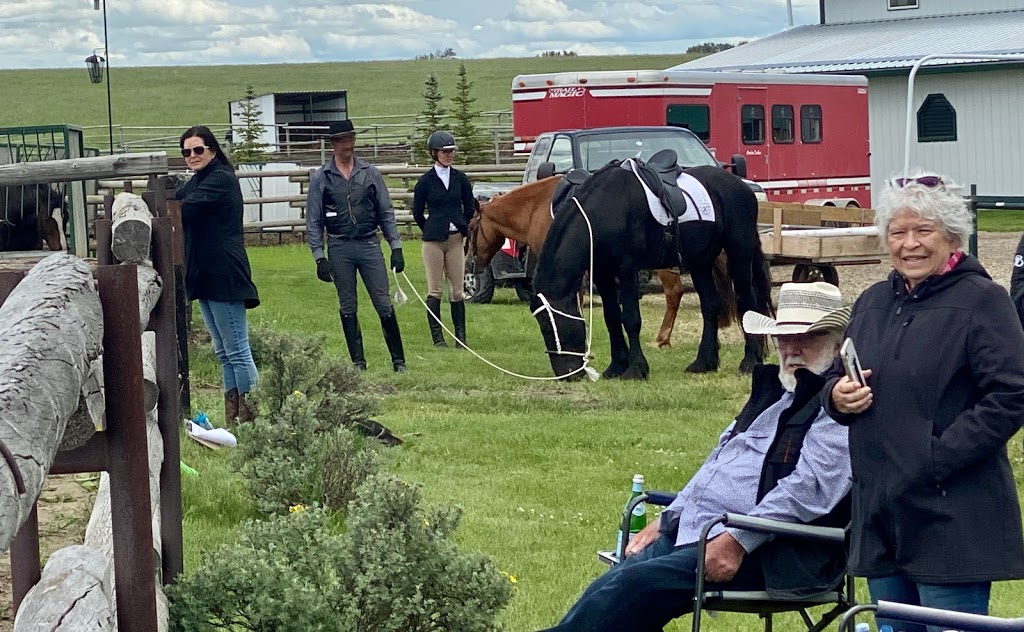 Kaspian Equestrian | Box 26 Site 7 RR3, Olds, AB T4H 1P4, Canada | Phone: (403) 556-3478