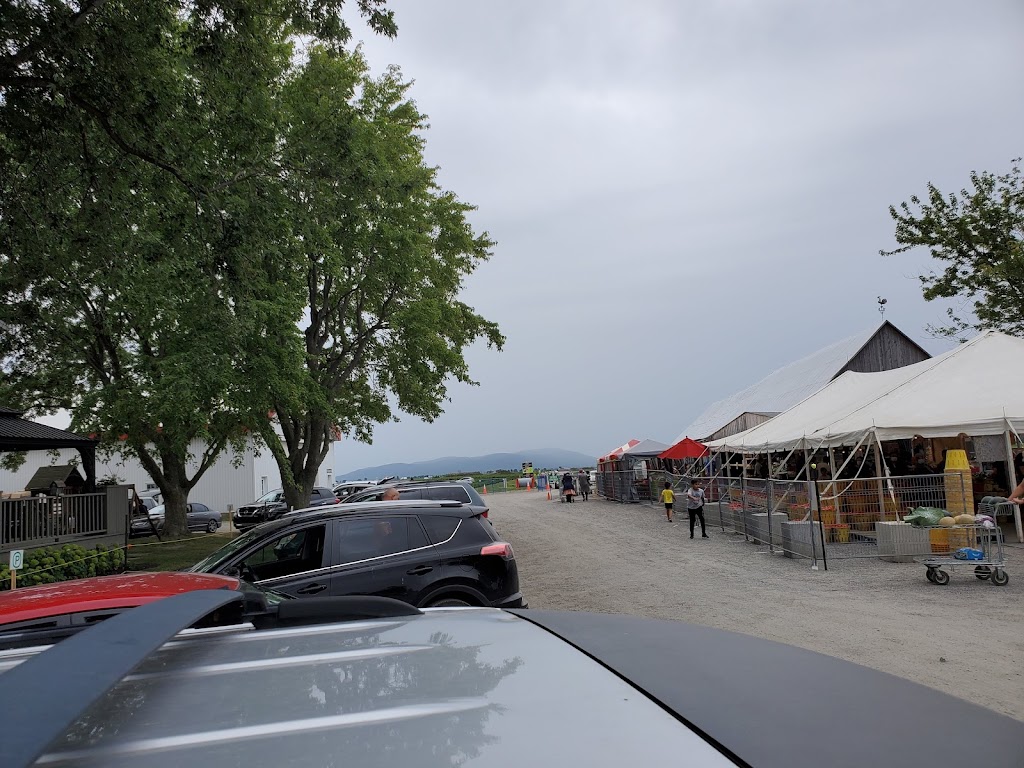 Ferme Mario Beauregard | 2025 Rang St.-Simon, Sainte-Madeleine, QC J0H 1S0, Canada | Phone: (450) 795-3978