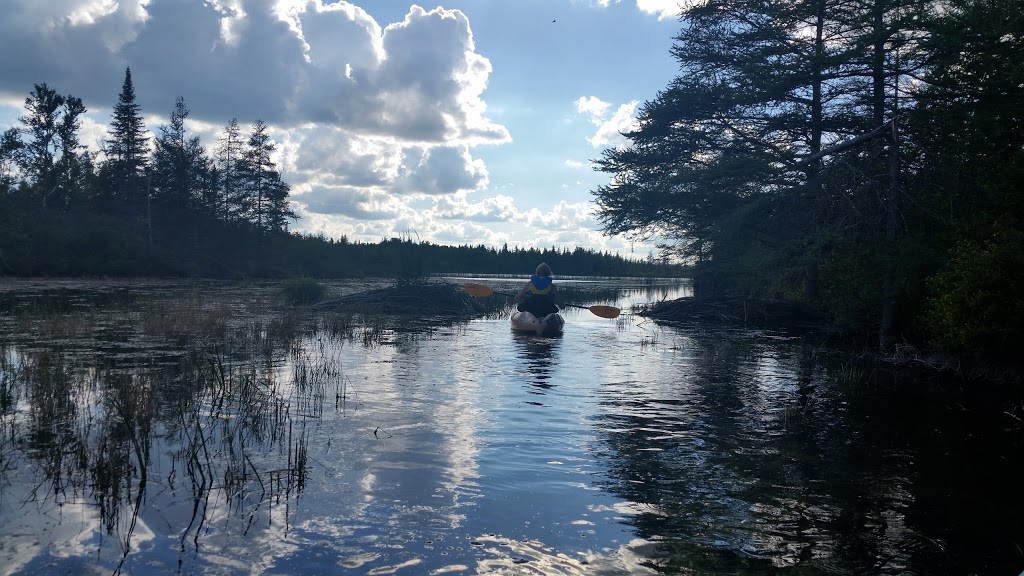 Caledon Lake Forest | 923 Orangeville Caledon Townline, Caledon, ON L7K 0G5, Canada | Phone: (905) 584-2272