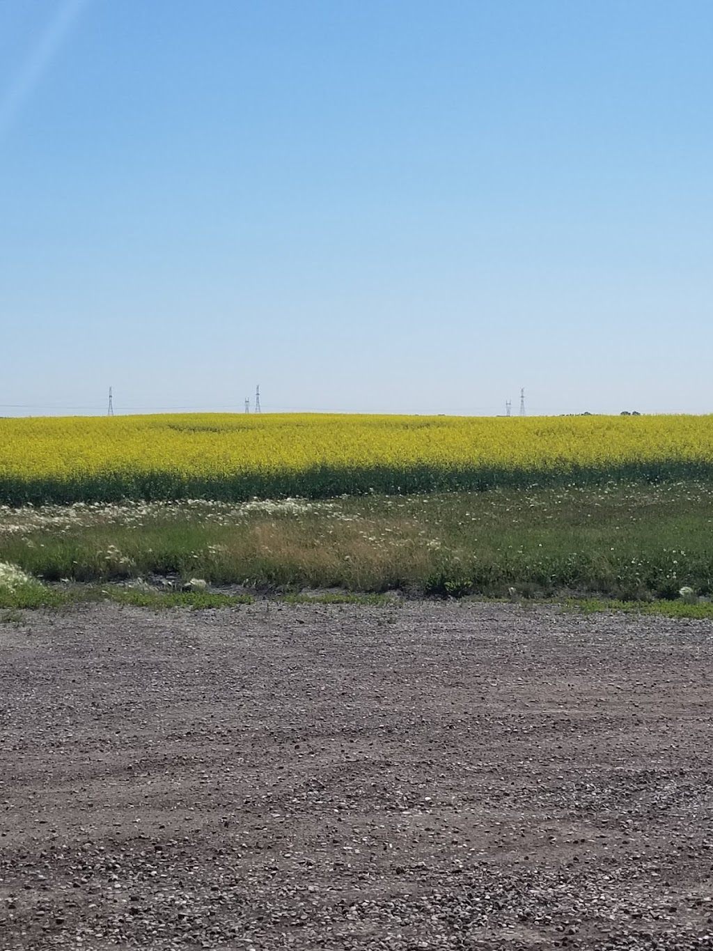 Prairie Trail Farms Ltd | 221080, Range Rd 280, AB T1X 0J4, Canada | Phone: (403) 936-5915