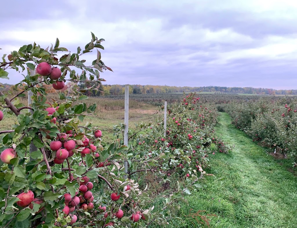 Orchard Home Farm | 235 Howell Rd, Saint George, ON N0E 1N0, Canada | Phone: (519) 448-1111