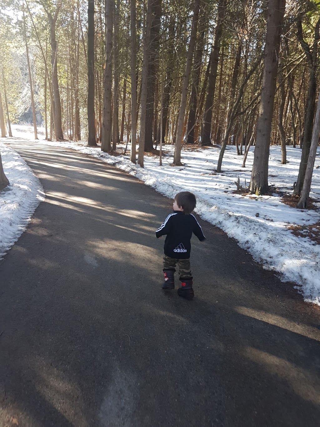 Bonshaw Avenue Park | 130 Bonshaw Ave, Newmarket, ON L3X 2Y4, Canada | Phone: (905) 895-5193