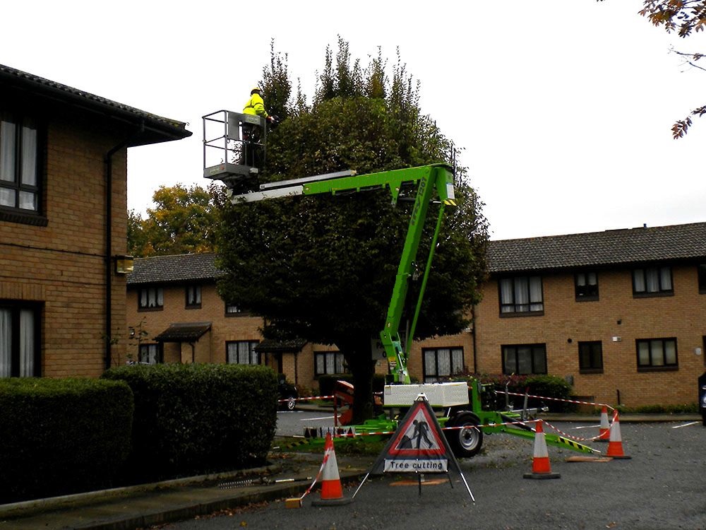 TAS Tree Removal & Pruning | 2343 Pl. des Musiciens, Saint-Lazare, QC J7T 3C6, Canada | Phone: (514) 701-2684
