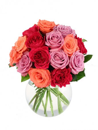 TL Yorke Floral Design | 8 Oland Crescent, Halifax, NS B3S 1C6, Canada | Phone: (902) 450-0101