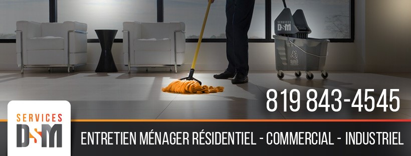 Services DSM Inc. | 2075 Rue Tanguay, Magog, QC J1X 5Y5, Canada | Phone: (819) 843-4545
