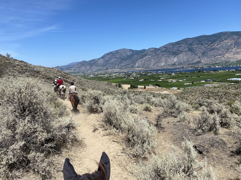 Sun Hills Riding Centre | 3800 Golf Course Dr, Osoyoos, BC V0H 1V4, Canada | Phone: (250) 408-9990