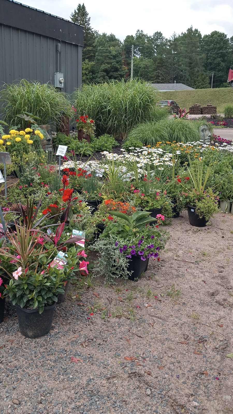 Garden Market By Sandhill | 85 Ontario St, Burks Falls, ON P0A 1C0, Canada | Phone: (705) 382-2442
