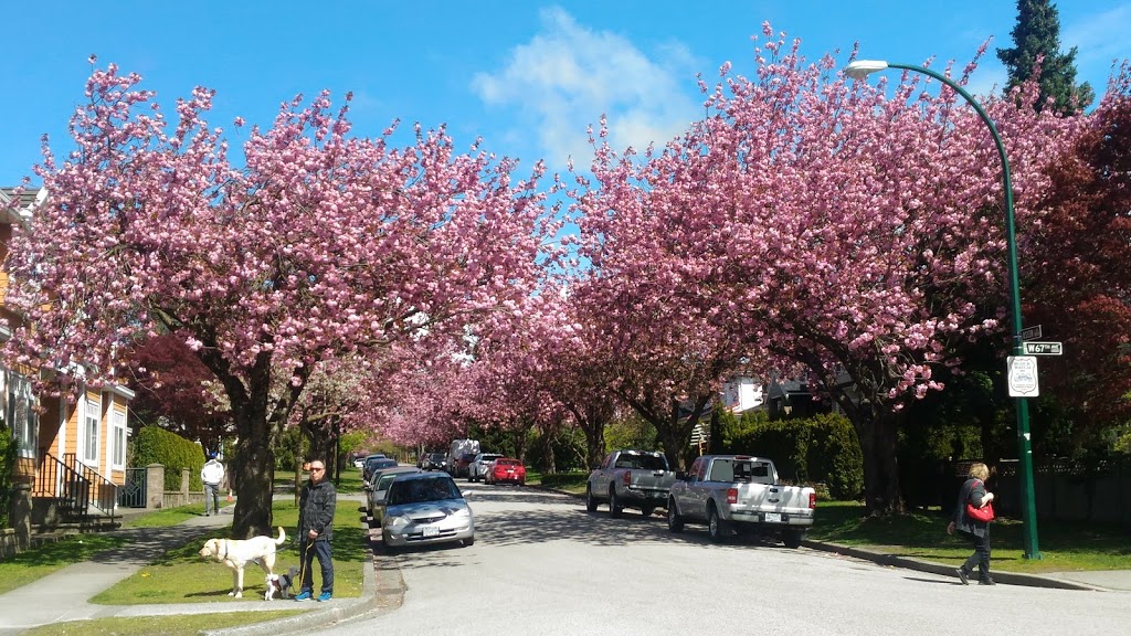 Marpole Baptist Church | 8010 Osler St, Vancouver, BC V6P 4E2, Canada | Phone: (604) 261-9141
