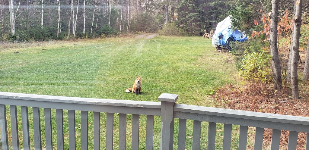 Windermere Cottages | 162 Ross Ln, York, PE C0A 1P0, Canada | Phone: (902) 672-2234