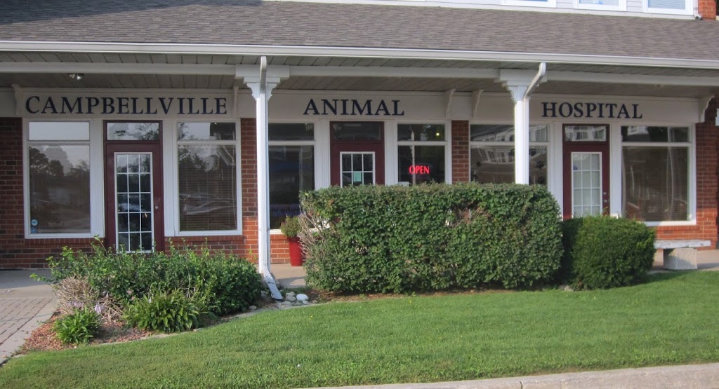 Campbellville Animal Hospital | 35 Crawford Crescent #2, P.O.Box 127, Campbellville, ON L0P 1B0, Canada | Phone: (905) 854-5556