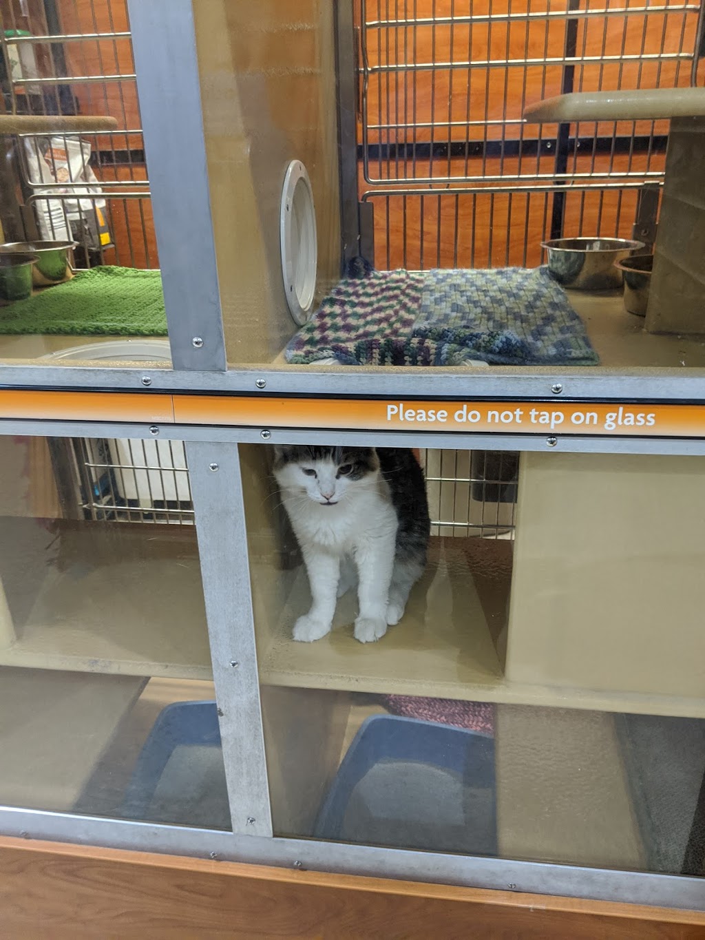 PetSmart | 1615 Regent Ave W, Winnipeg, MB R2C 5C6, Canada | Phone: (204) 222-1669