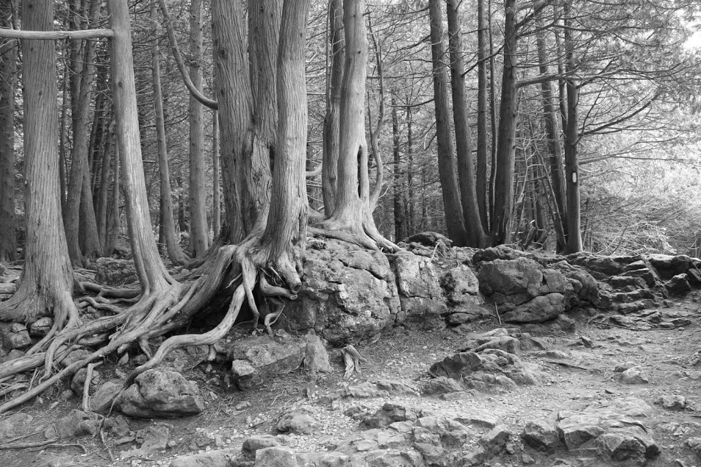 Sacred Solitude | Bridlewood Blvd, Whitby, ON L1R 3C8, Canada | Phone: (416) 821-6832