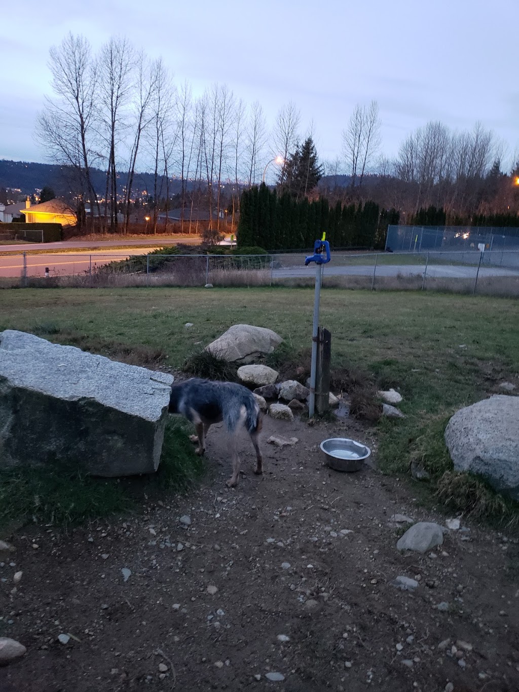 Bramble Park Off-Leash Area | 2641 David Ave, Coquitlam, BC V3E 2N5 David Ave, Coquitlam, BC V3E 2N5, Canada