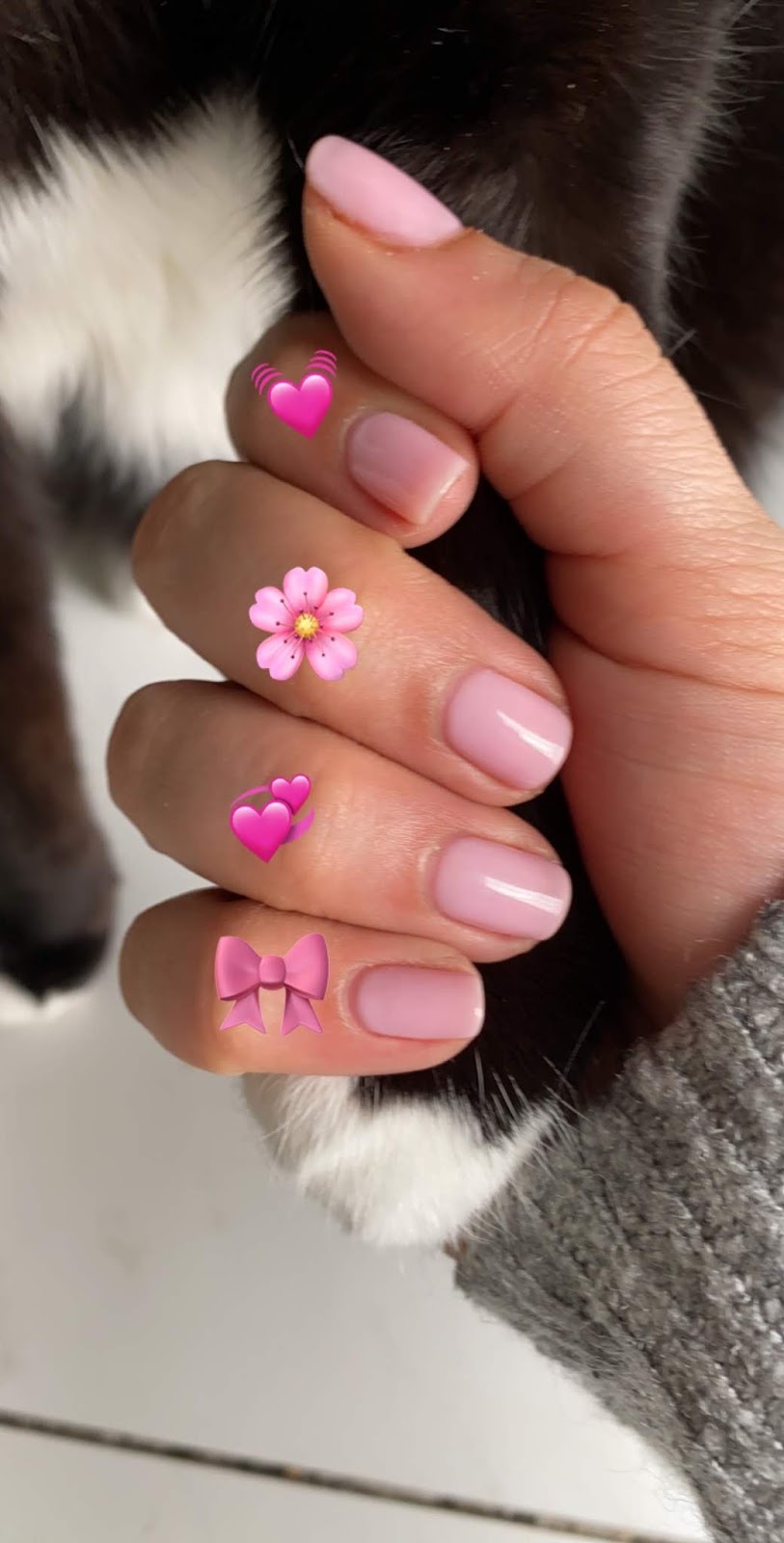 Fresh Nail Bar | 2635 Barnet Hwy, Coquitlam, BC V3E 1K9, Canada | Phone: (604) 474-1858