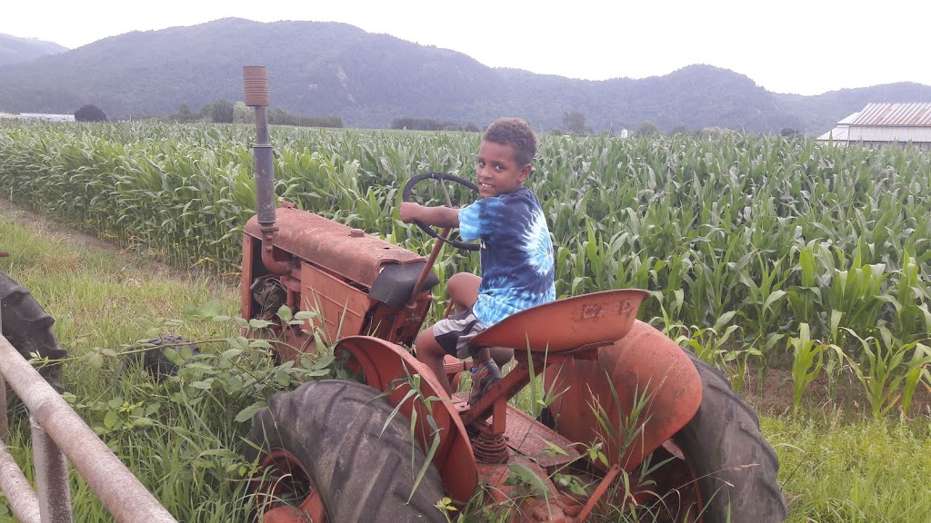 Warkentin Organic Farm | 6934 Sandberg St, Abbotsford, BC V3G 1N7, Canada | Phone: (604) 826-7230