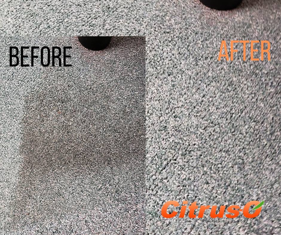 Citrus-O Carpet Care | 3955 Quadra St, Victoria, BC V8X 1J7, Canada | Phone: (250) 891-5448