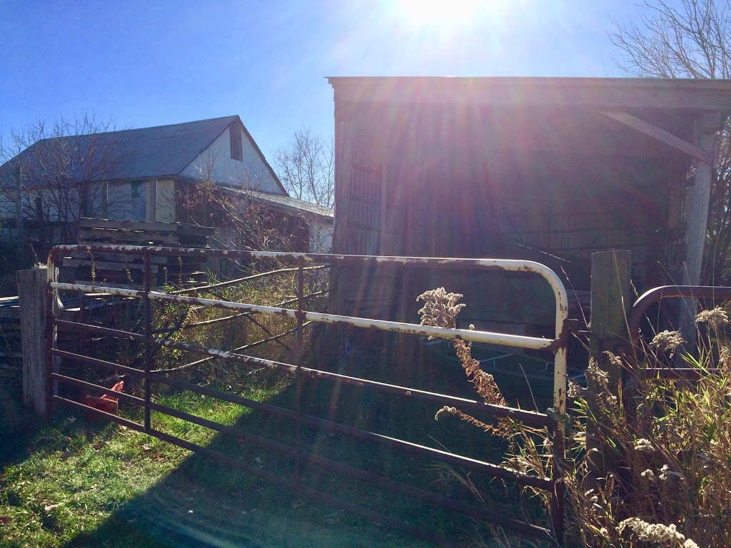 Sawmill Creek Farm Niagara 437 Sawmill Rd, St. Catharines, ON L2R 6P7