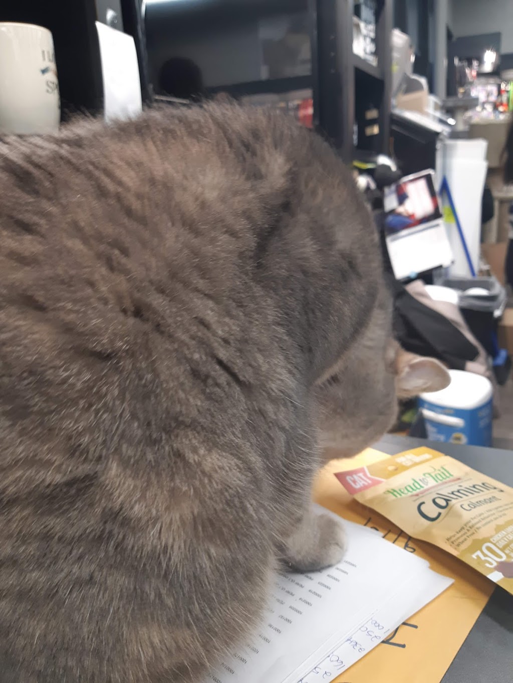 Pet Valu | 378 Speedvale Ave E, Guelph, ON N1E 1N5, Canada | Phone: (519) 837-0868