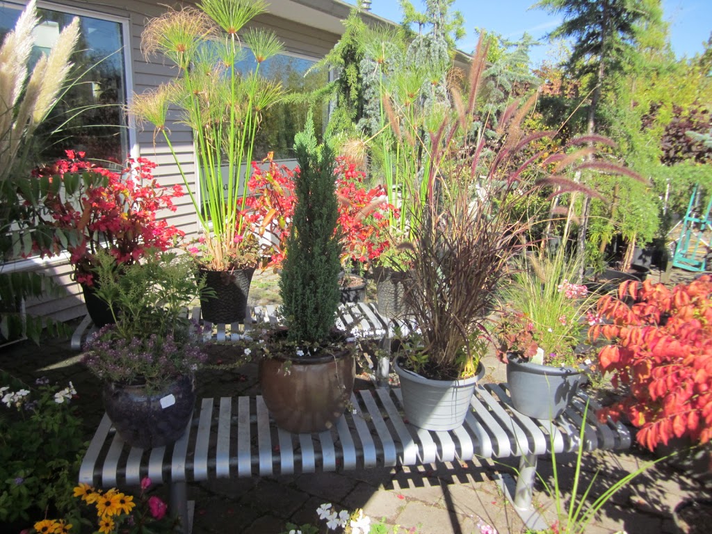Tri-Star Nurseries & Landscape Supplies Ltd. | 5047 184 St, Surrey, BC V3X 1B5, Canada | Phone: (604) 576-6732